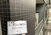 IMG_2970
